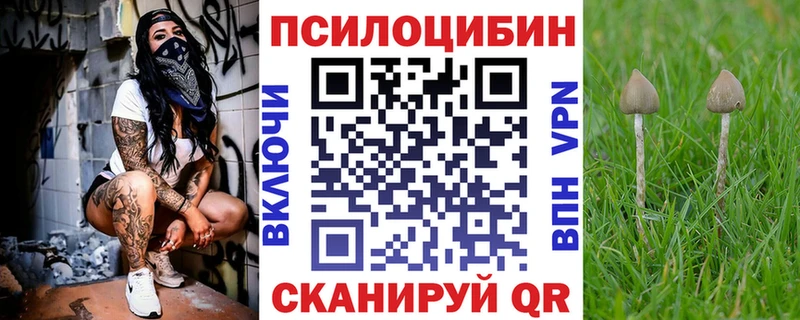 Купить  Глазов  Псилоцибиновые грибы Psilocybe 